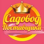 24 ЛИНИЯ 104 ПАВИЛЬОН ТК.САДОВОД, ТК Садовод, 22-77