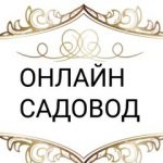 Садовод Онлайн24/7, ТК Садовод, -