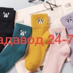 Исмаил Рзаев, ТК Садовод, -