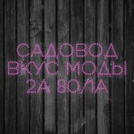 Распродажа садовод, ТК Садовод, -