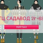 Мирлан Мирланов, ТК Садовод, -