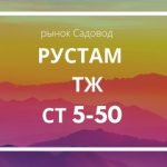 Рустам Садоводов, ТК Садовод, СТ 5-50