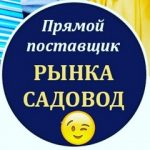 Камолиддин Иброгимов, ТК Садовод, Корпус Б, 2Г-61