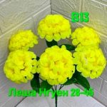 Леша Нгуен, ТК Садовод, -