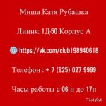 Миша Рубашка, ТК Садовод, 1Д-50