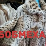 БОБМЕХА | ОТ ФАБРИКИ | САДОВОД | ОПТ/В РОЗНИЦУ, ТК Садовод, 