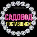 САДОВОД ПОСТАВЩИКИ, ТК Садовод, 3-5