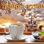 Садоаод-А Коля, ТК Садовод, -