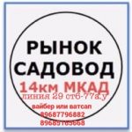 Света Чу, ТК Садовод, -