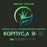 Чингиз Туратов, ТК Садовод, Корпус А, 1В-36