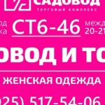 Бахтияр Аширов, ТК Садовод, -