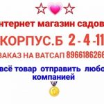 Туан Нгуен, ТК Садовод, 28-32