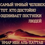 Abdulo Said, ТК Садовод, 11-108