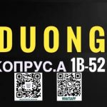 Duong Nguyen, ТК Садовод, -