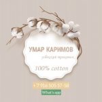 Умар Каримов, ТК Садовод, -