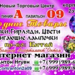 Дима Нгуен, ТК Садовод, -