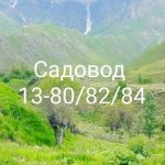 Давлат Рашт, ТК Садовод,