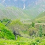 Сайгуфрон Джалолов, ТК Садовод, -