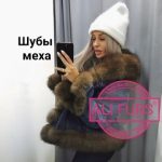 Али Мирзоев, ТК Садовод, -