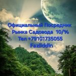 Fazliddin Ismoilov, ТК Садовод, 2-4-07