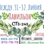Аслам Зиёев, ТК Садовод, 56-896