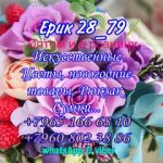 Lucian Andree, ТК Садовод, 31-08