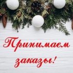 Дима Дима, ТК Садовод, 24-111