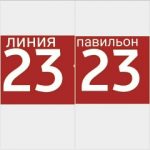 Tamim Noori, ТК Садовод, 23-23