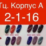 Джаха Авезов, ТК Садовод,