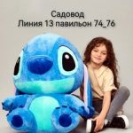 Абдухолик Хасанов, ТК Садовод, 8-925