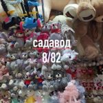 Марат Садавод, ТК Садовод, 8-82